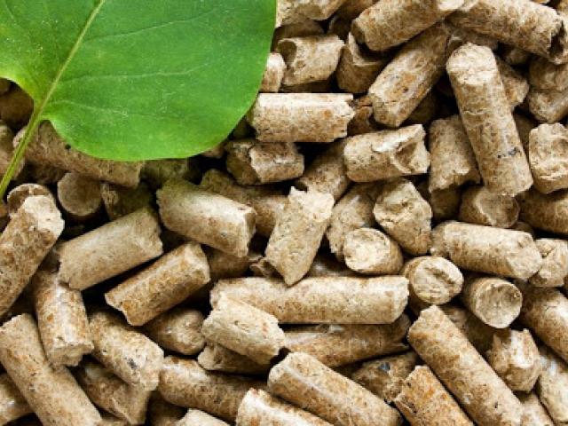 Pellet – opał z trocin. Zmień odpady na dodatkowy zarobek